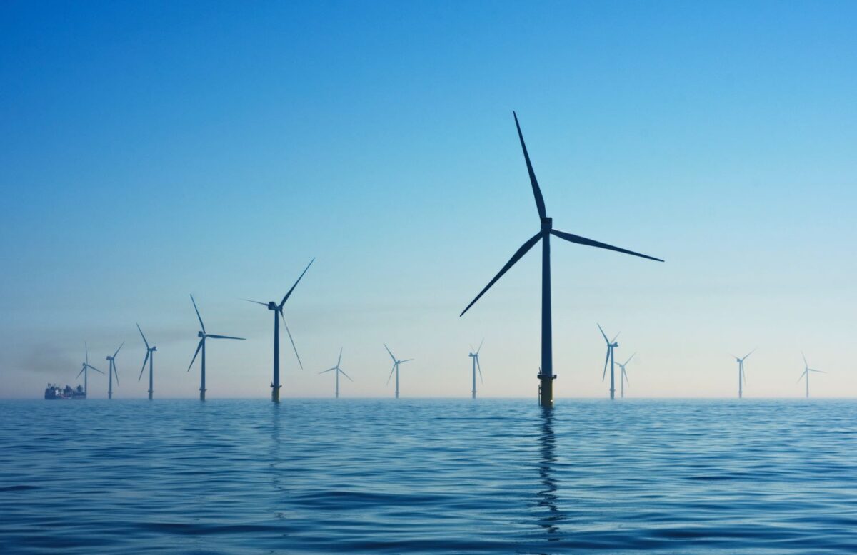 Offshore – czy morskie turbiny wiatrowe stwarzają zagrożenie?