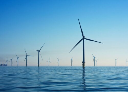 Offshore – czy morskie turbiny wiatrowe stwarzają zagrożenie?
