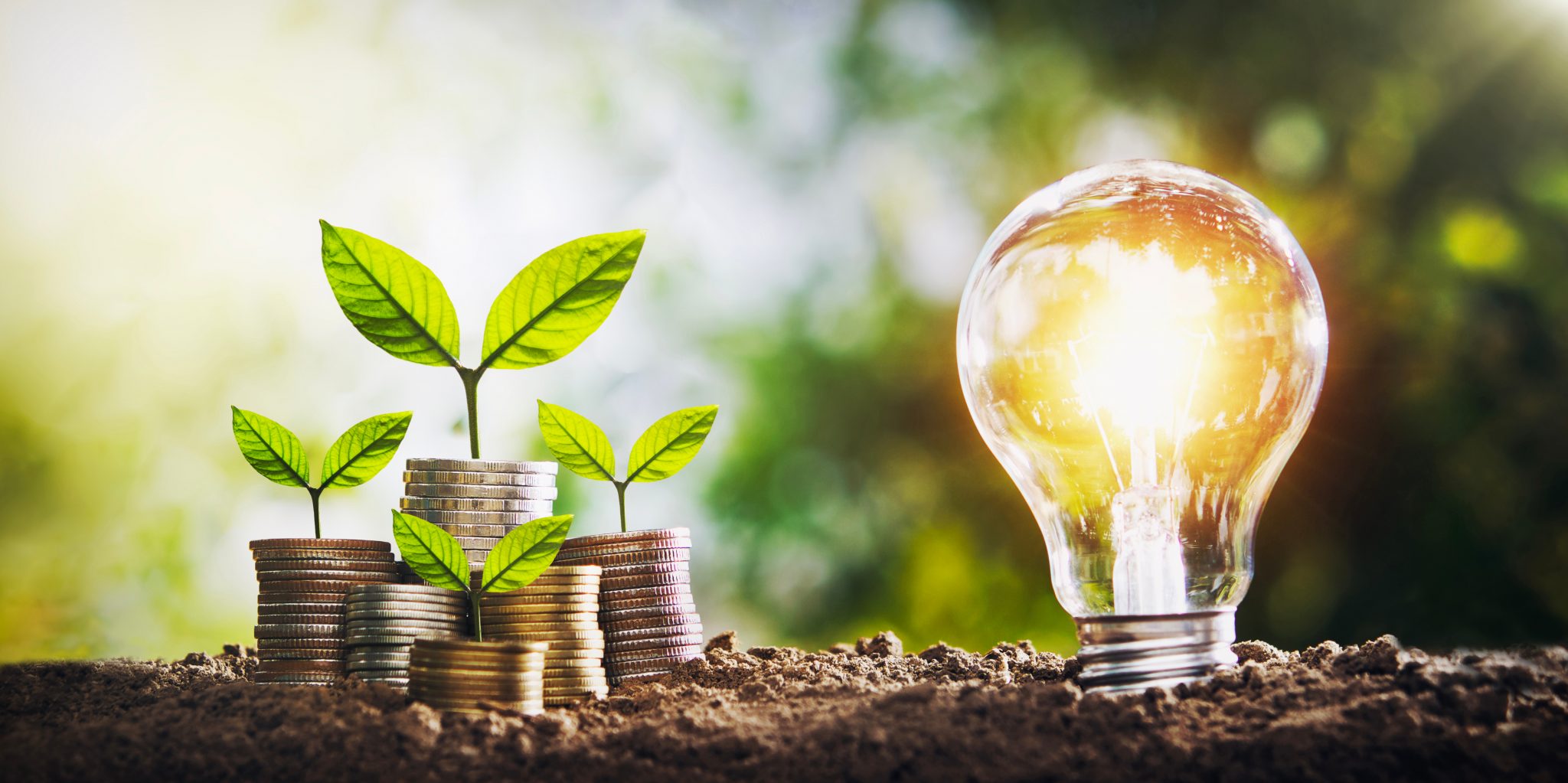 Amerykanie przejmują największą fabrykę magazynów energii w Europie. Produkcja w Gdańsku ruszy ponownie