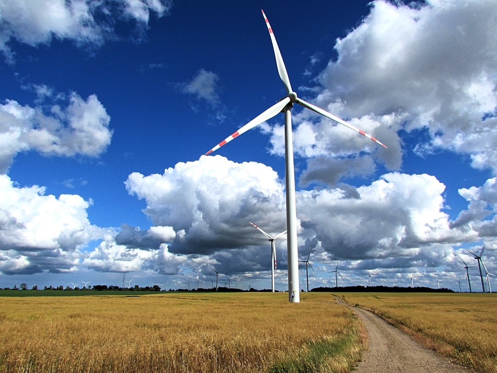 Serwis turbin wiatrowych pod lupą