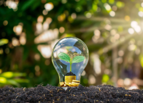 Park Zielonej Energii w Gliwicach