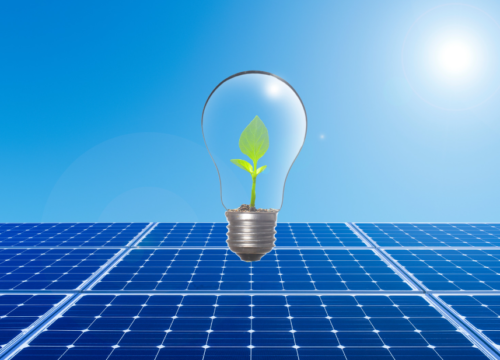 Lena Lighting z fotowoltaiką od WPIP Green Energy