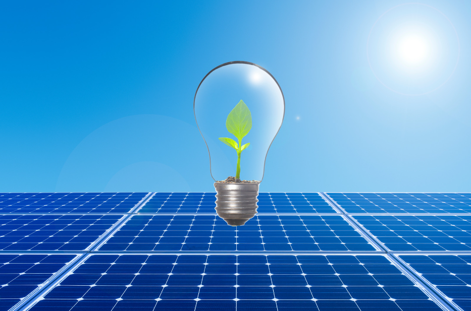 Lena Lighting z fotowoltaiką od WPIP Green Energy