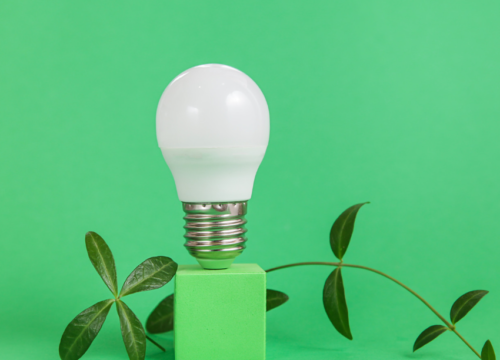 Polenergia z rekordowym kontraktem na zieloną energię dla Leroy Merlin i Bricoman