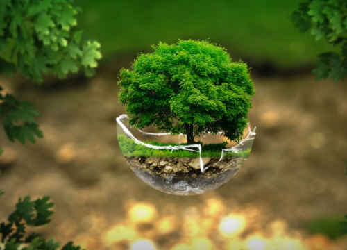 Miasta chcą więcej własnej energii