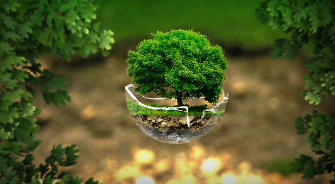 Miasta chcą więcej własnej energii