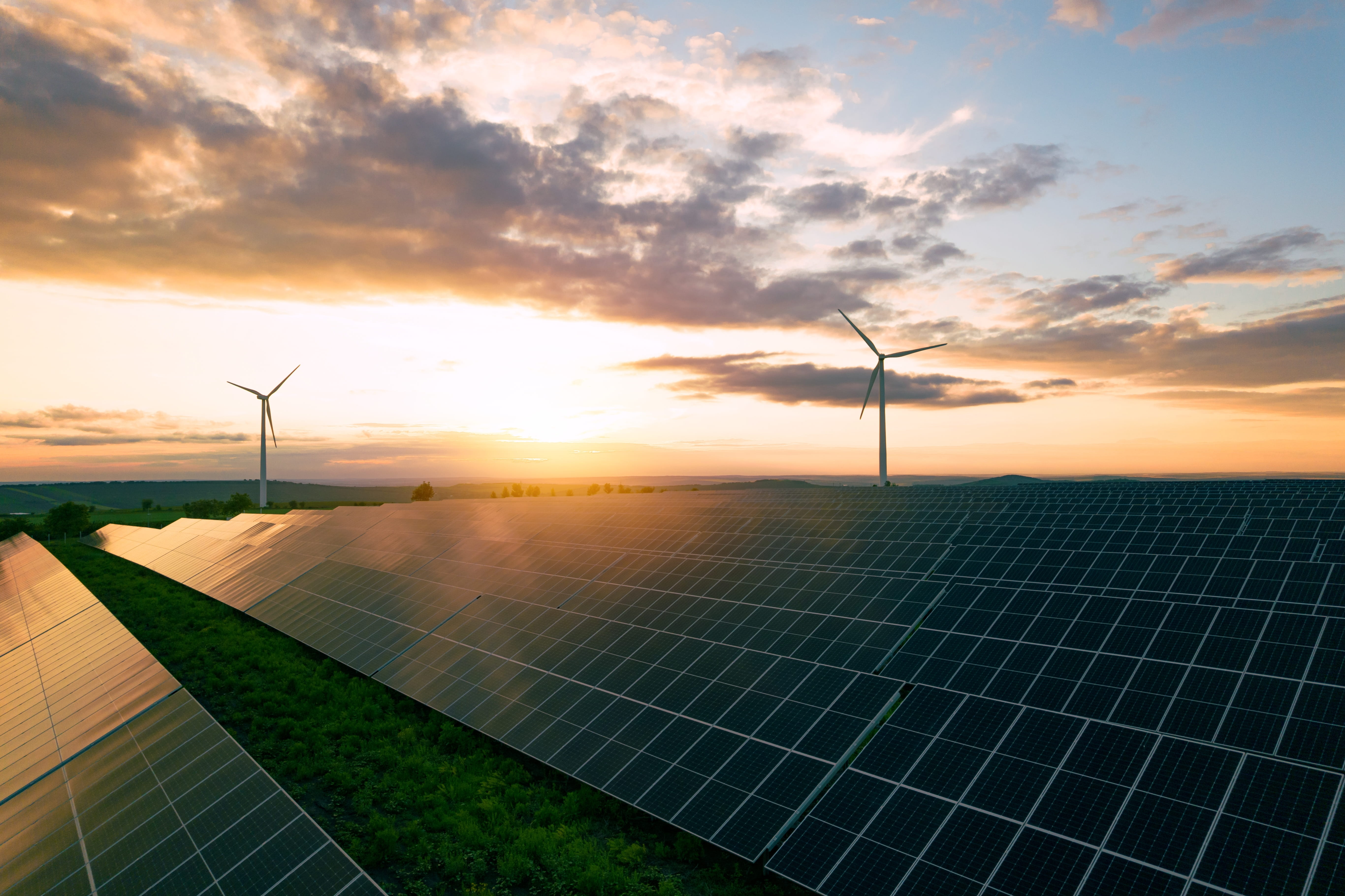 Nawet 6 mld zł rocznie ucieka z rynku OZE. Zielona transformacja warta miliardy złotych blokuje się na biurokracji